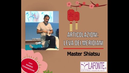 copertina Master Shiatsu Articolazioni Leva dei meridiani